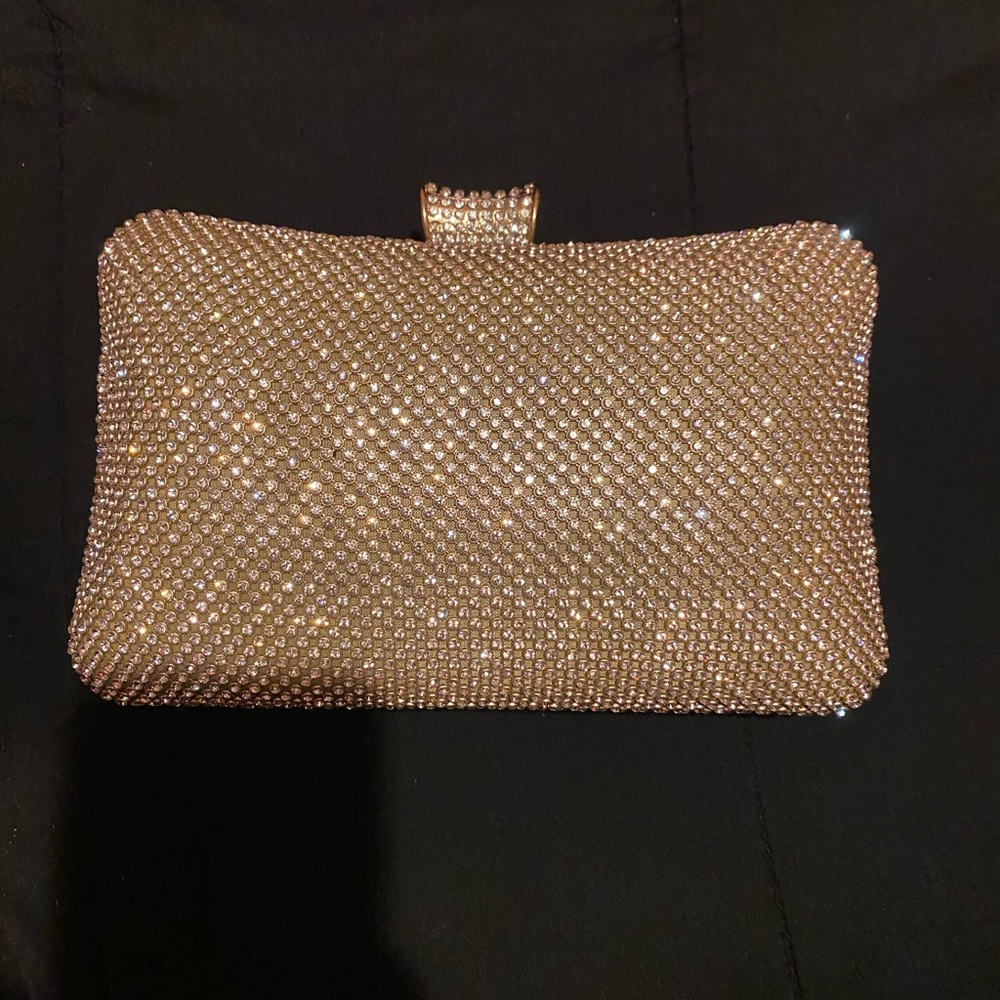 Gold & Silver Accessory wallet/clutch